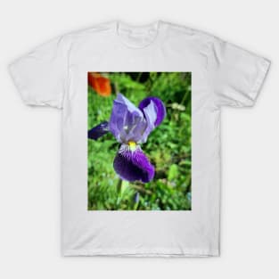 lily T-Shirt